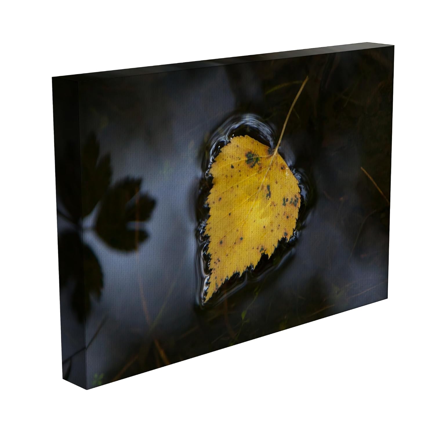 inep-b083y4wmhw-close-up-of-the-85x55cm-woodland-whirl-abstract-framed-wall-art-showing-vivid-multicolour-details.jpg